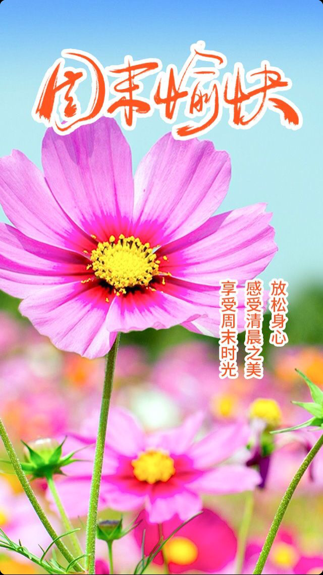 【周末早安】忙碌了一