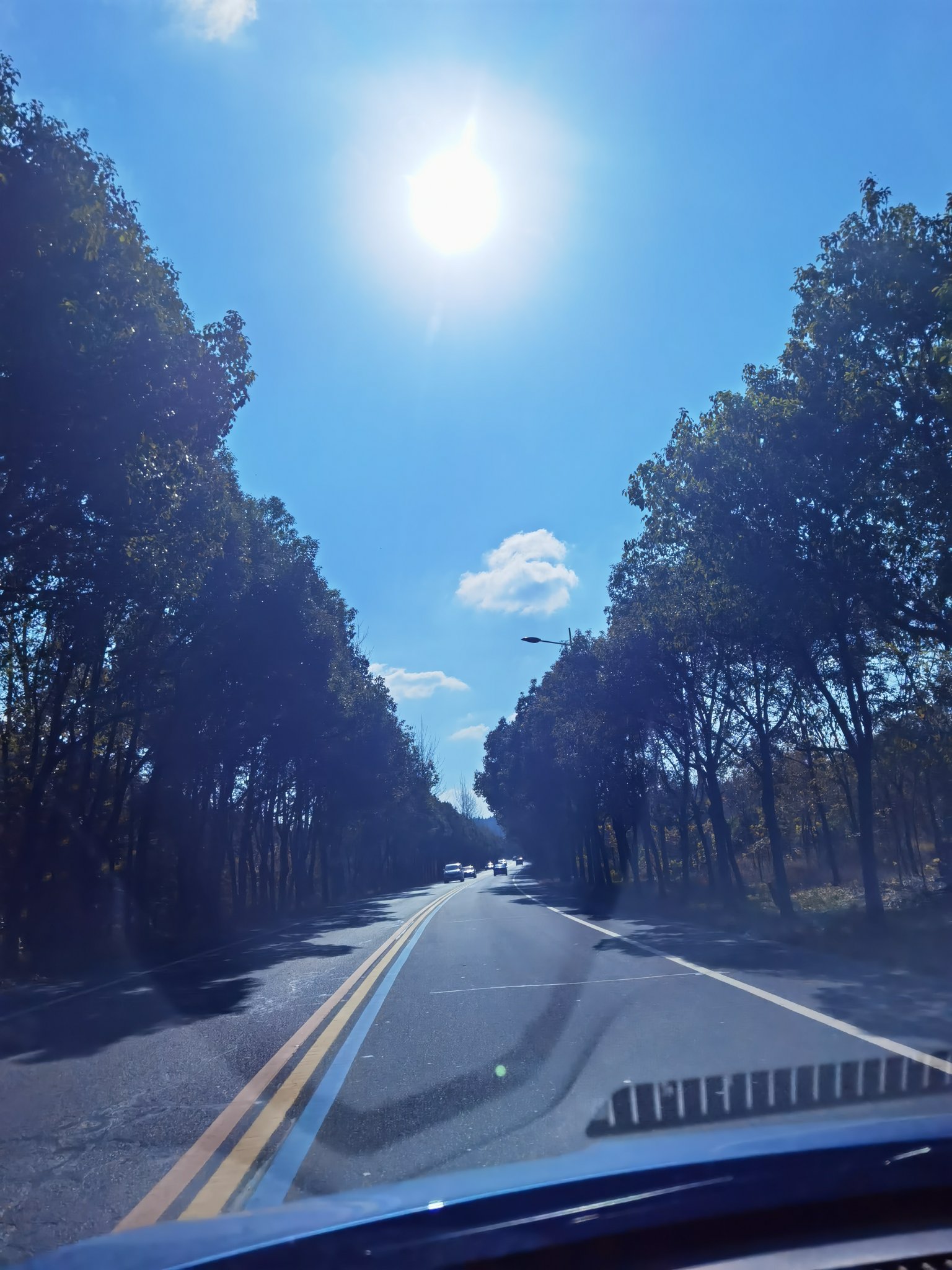 网红公路好吧拍照