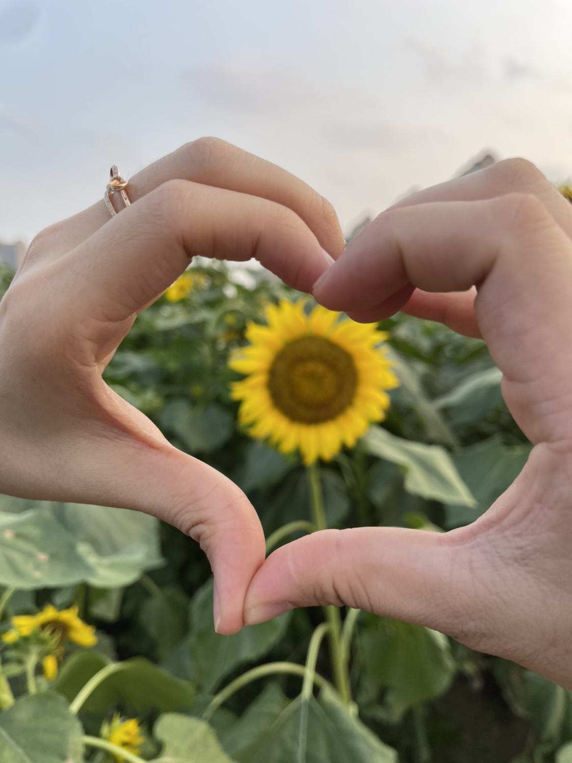 佛山宜家隔壁向日葵园90后的我,两个孩子他爸,公寓小老板,室内设计师