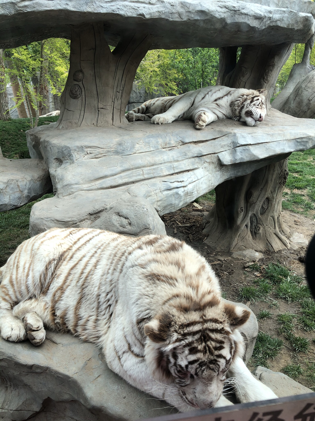 北京野生动物园游记