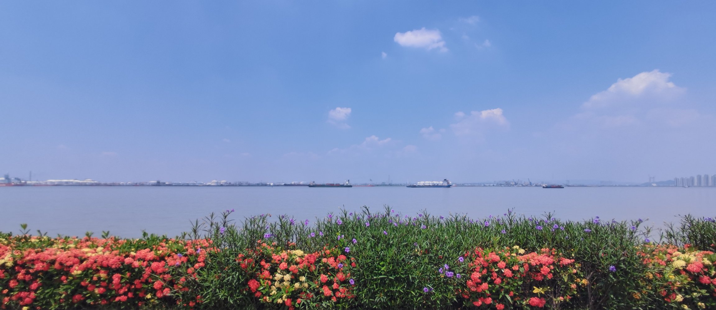 番禺海鸥岛是一座未来