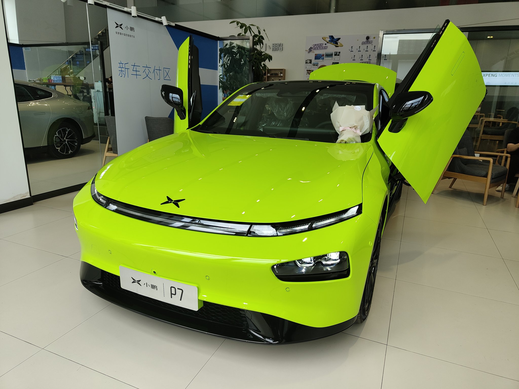 小绿绿 - 小鹏汽车鹏友圈