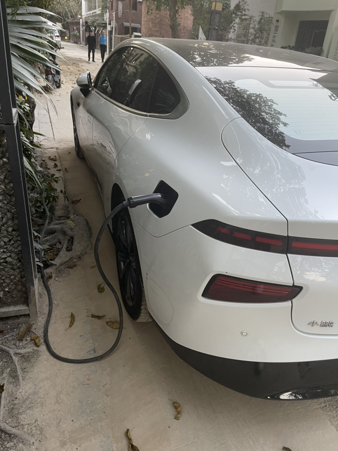 用公司的蔚来充电桩