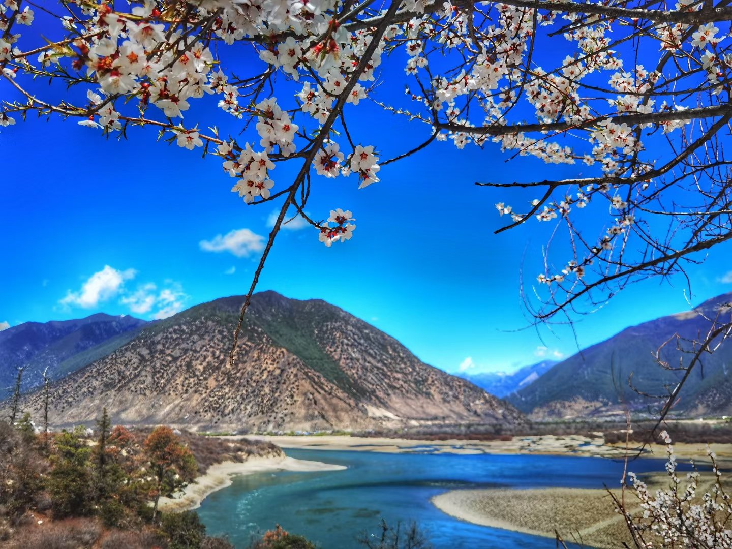 青藏高原的江南美景