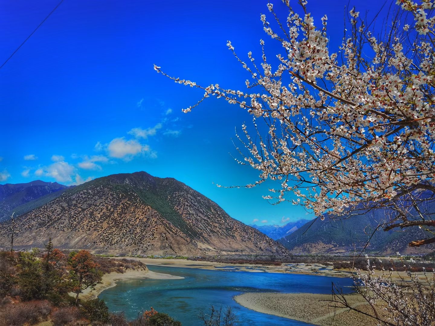 青藏高原的江南美景