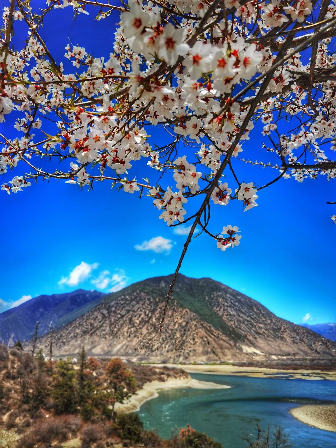 青藏高原的江南美景