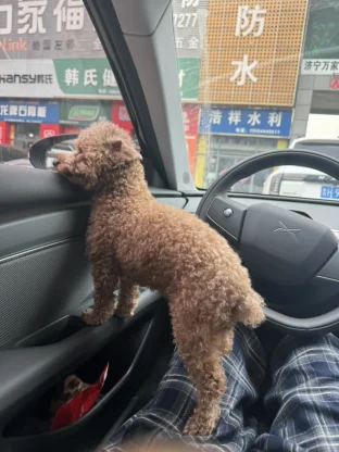 pic
