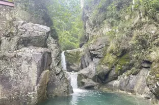 pic