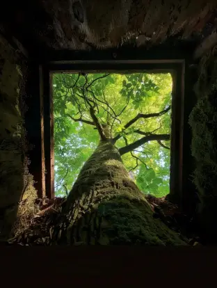 pic