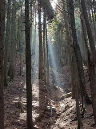 pic