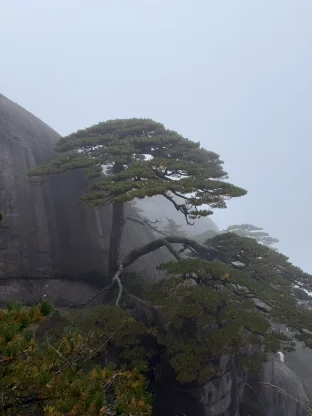 pic