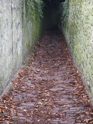 pic