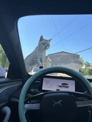 pic