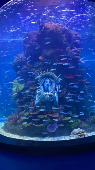 pic