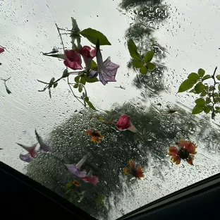 pic