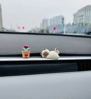 pic