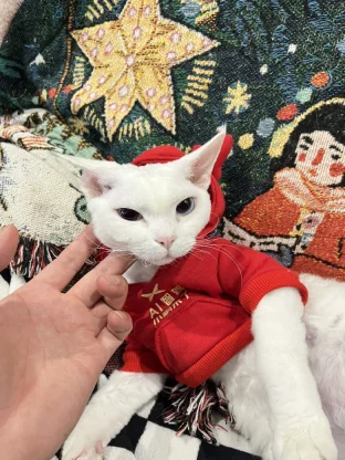 pic
