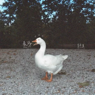 pic