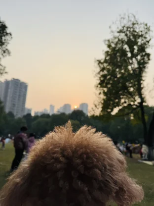 pic