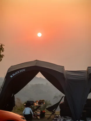 pic
