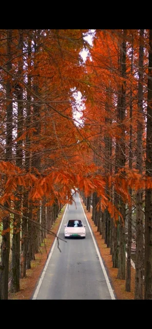 pic