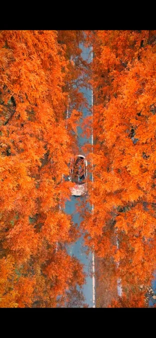 pic