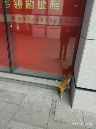 pic