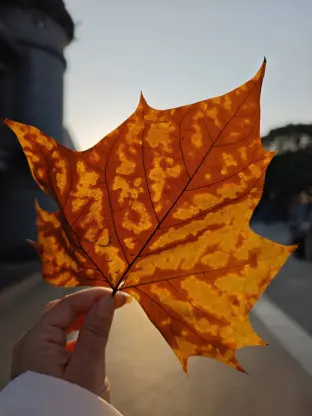 pic