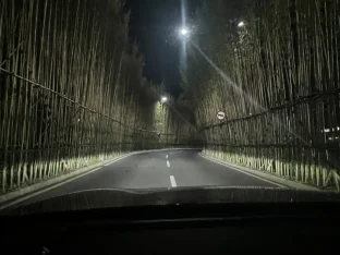 pic