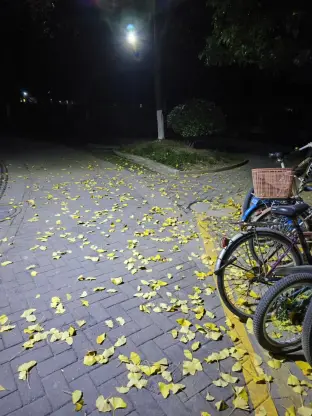 pic