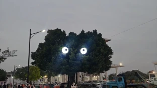pic