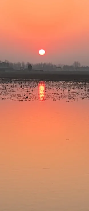 pic