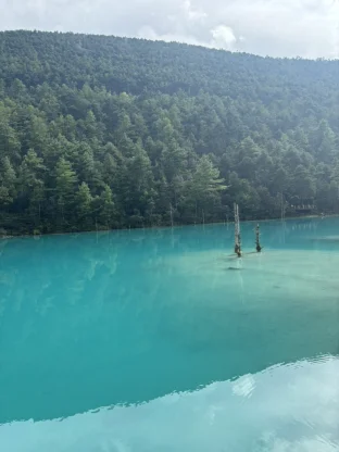 pic