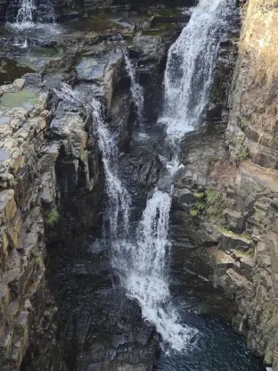 pic