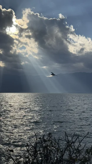 pic