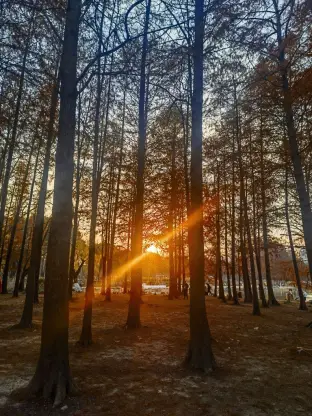 pic