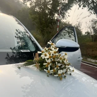 pic