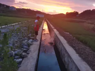 pic