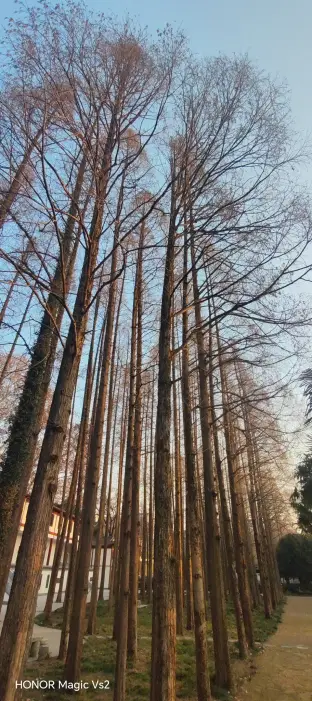 pic