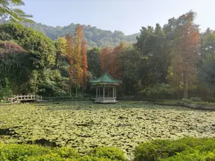 pic