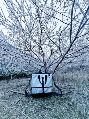 pic