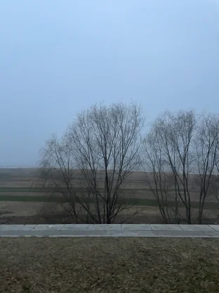 pic