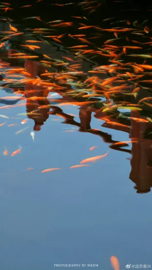 pic