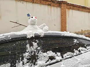 pic