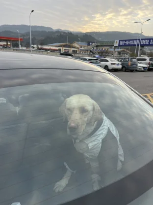 pic