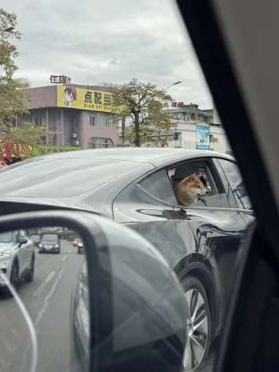 pic