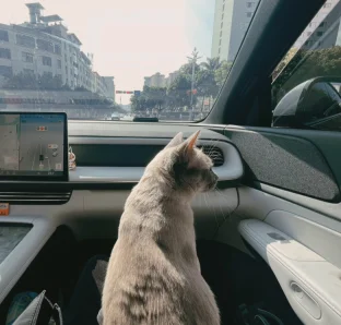 pic