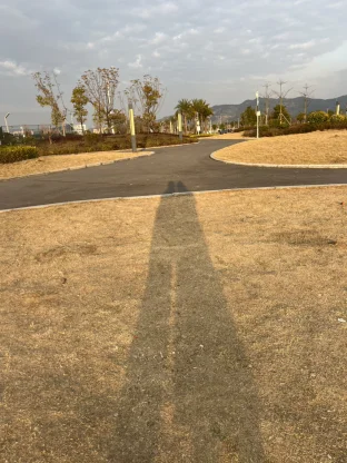 pic