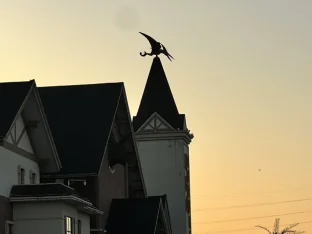 pic