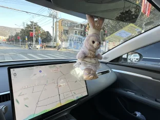 pic